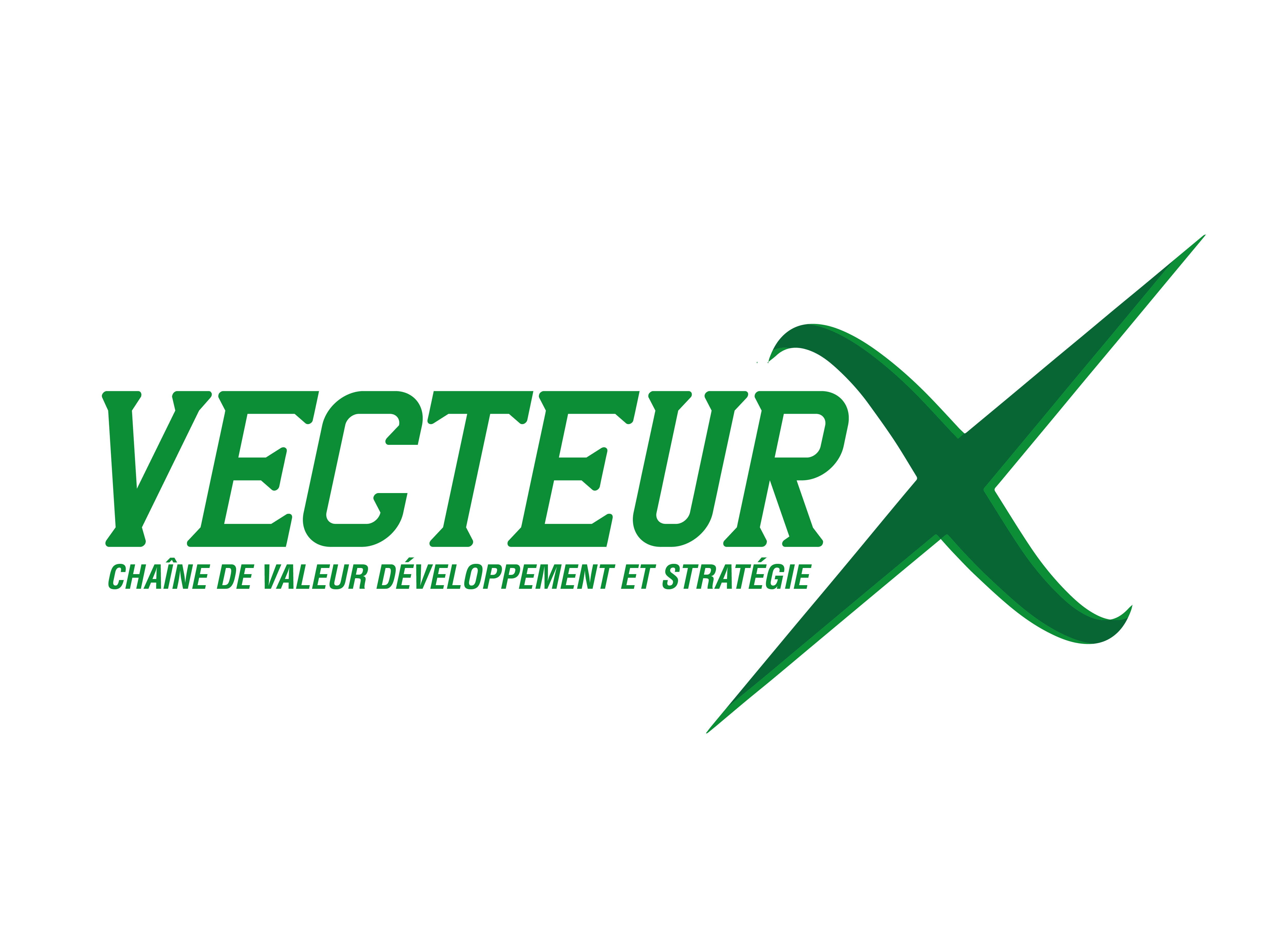 Vecteur X